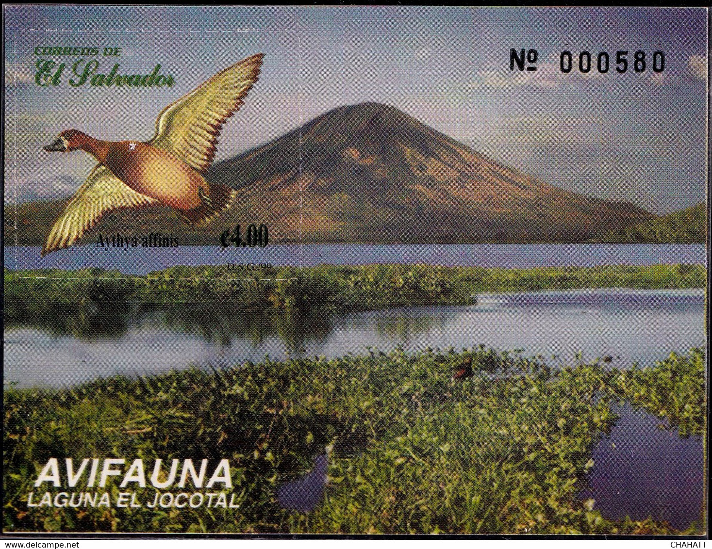 WATERBIRDS- LESSER SACUP- BIRDS OF JAGOTAL LAGOON- MS- EL SALVADOR-1999- LIMITED ISSUE-MNH-PA12 - Gänsevögel