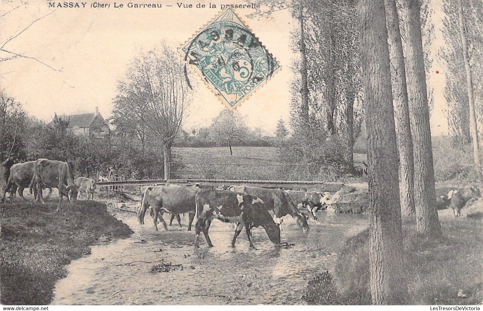 CPA - France - 18 - MASSAY - LE GARREAU - Vue De La Passerelle - Troupeau De Bovins - Vache - Massay