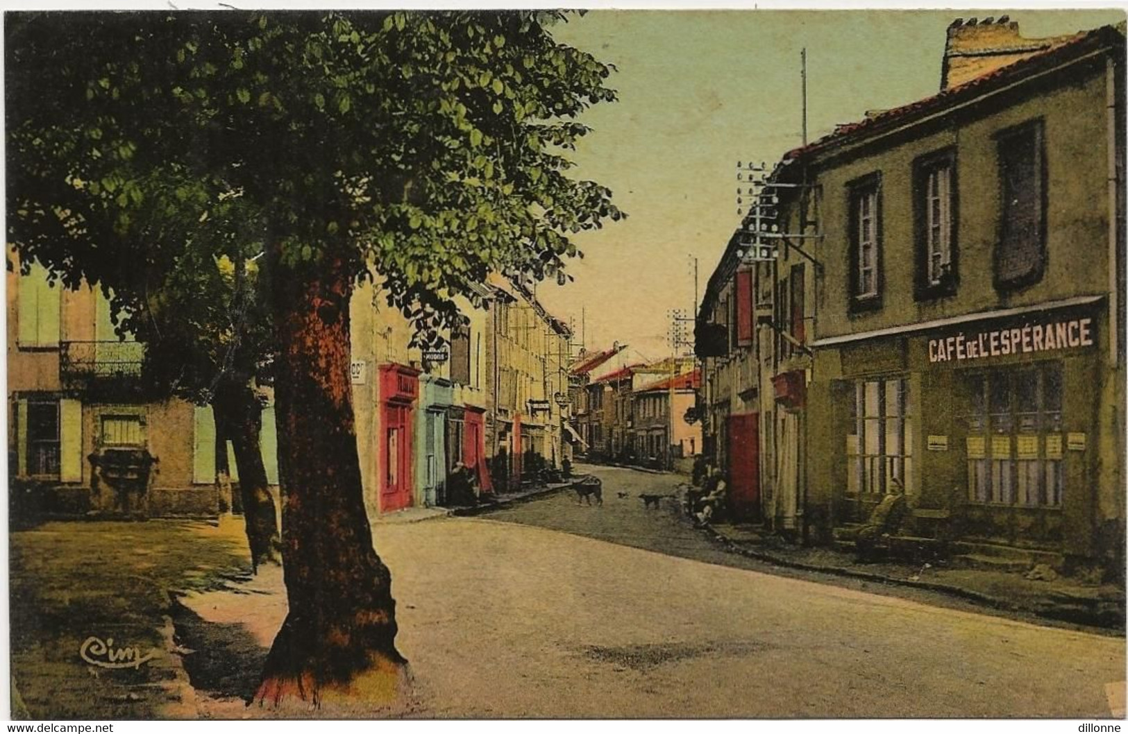 D 81  ALBAN  Lot De 2 Cartes  Grande Rue Et Avenue De Trebas - Alban