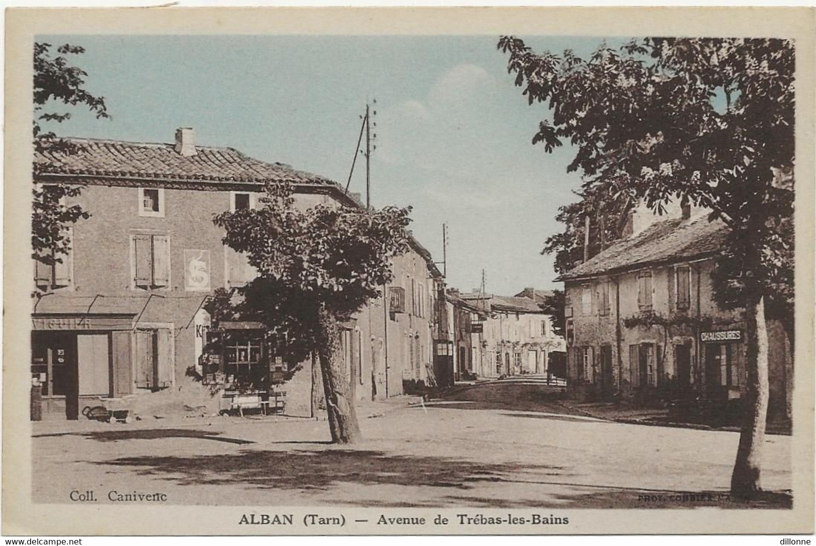 D 81  ALBAN  Lot De 2 Cartes  Grande Rue Et Avenue De Trebas - Alban