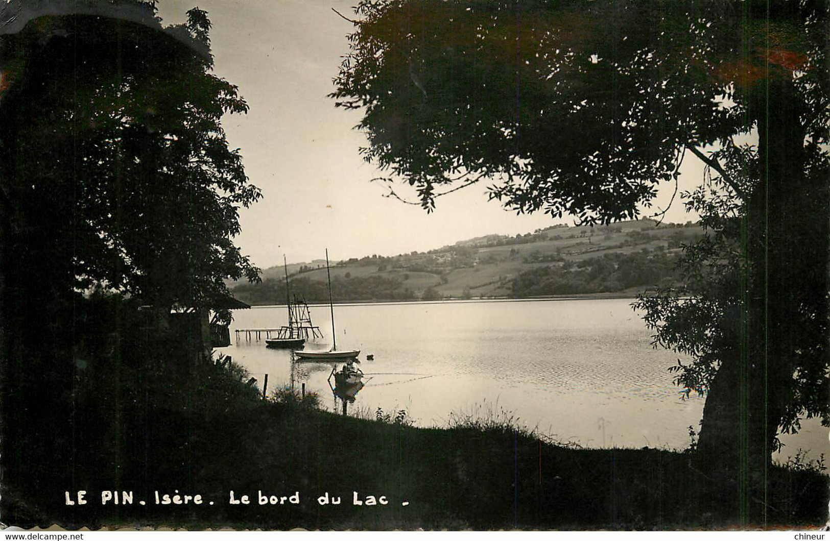 LE PIN LE BORD DU LAC - Sonstige & Ohne Zuordnung