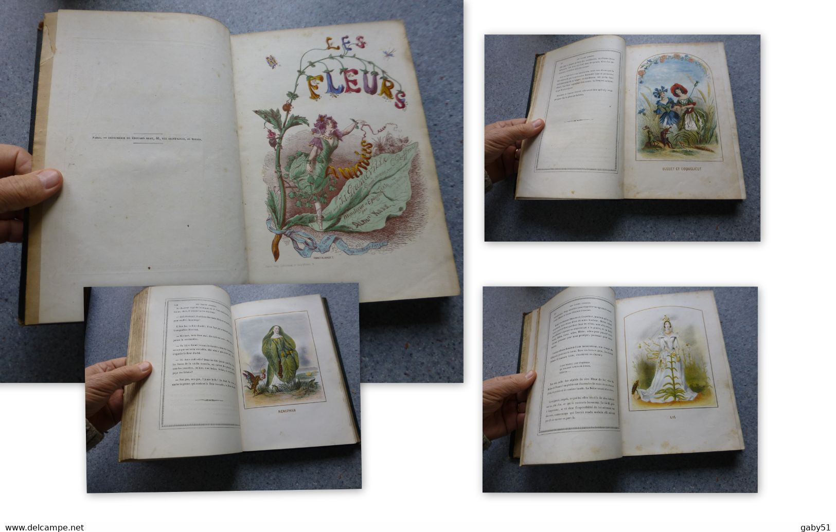 Les Fleurs Animées, Grandville, Edit De Gonet 1867, RARE, Pour Bibliophiles, 2 Volumes  ; L15 - 1801-1900