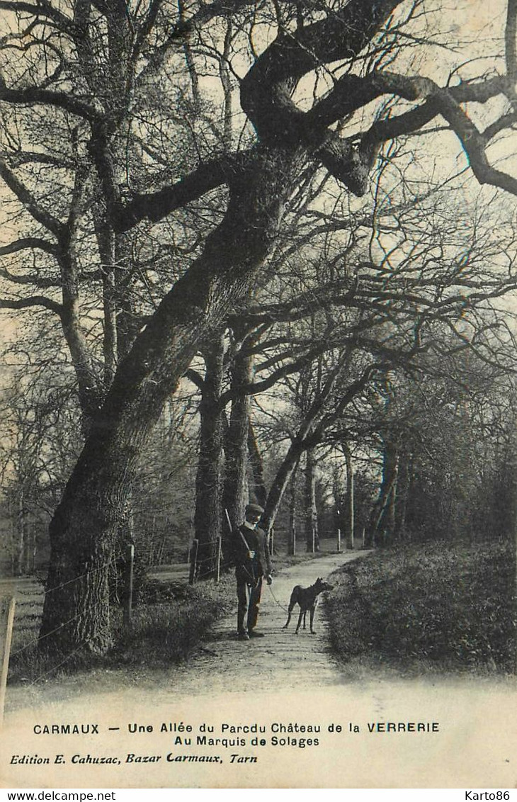 Carmaux * Une Allée Du Parc Du Château De La Verrerie , Au Marquie De Solages * Chasse Chasseur Chien Arbre - Carmaux