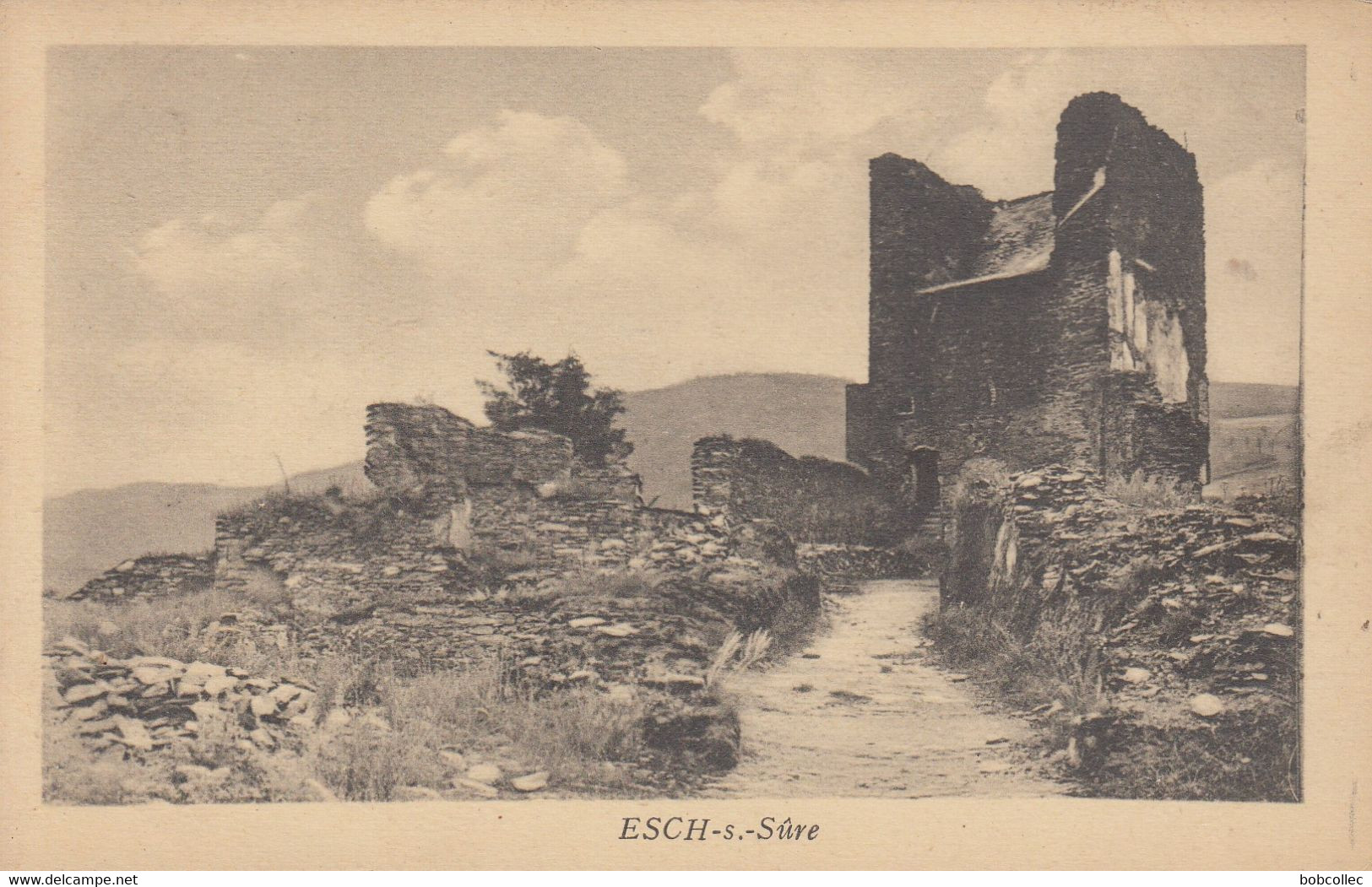 ESCH-sur-SÛRE: Ruines - Publicité Hôtel Des Ardennes - Wiltz