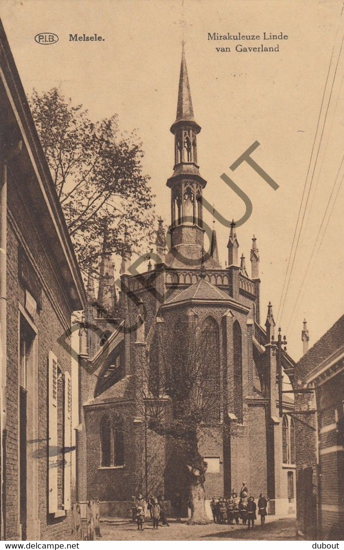 Postkaarte/Carte Postale - MELSELE - De Mirakuleuze Linde (C2834) - Beveren-Waas