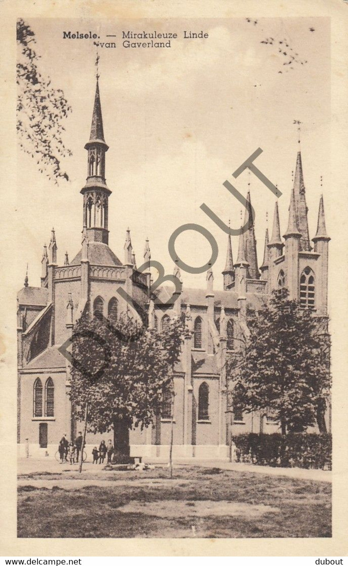 Postkaarte/Carte Postale - MELSELE - De Mirakuleuze Linde (C2833) - Beveren-Waas