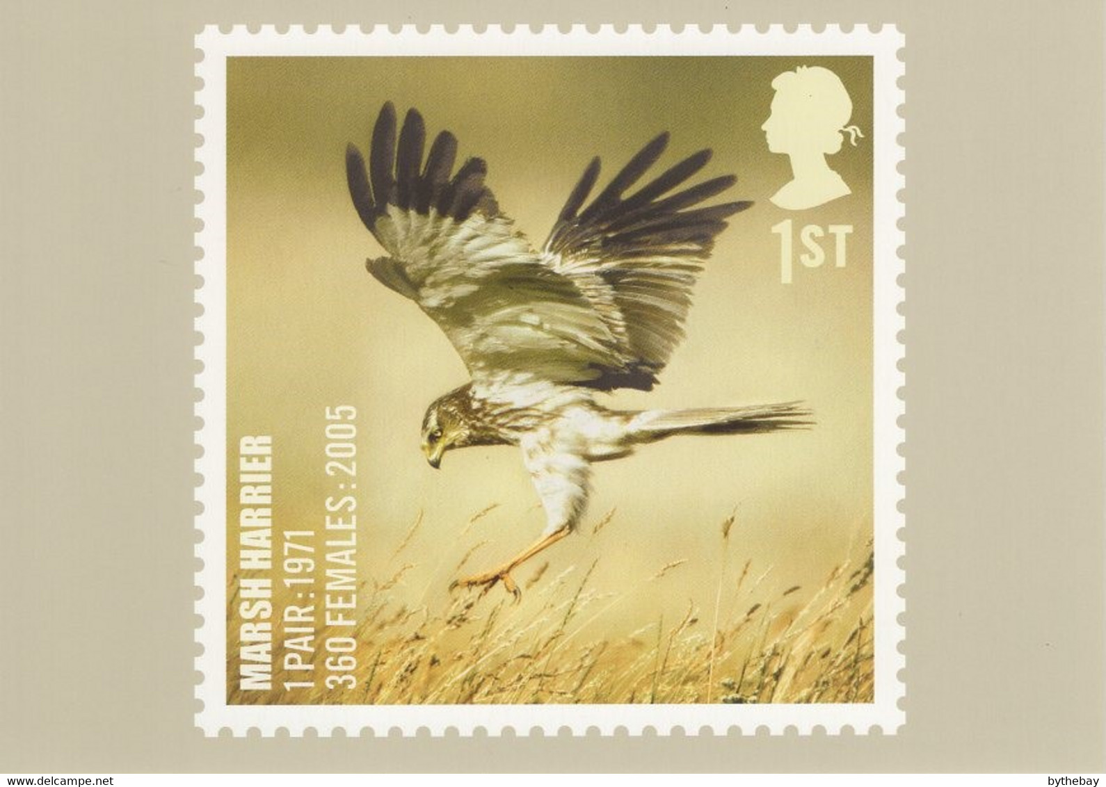 Great Britain 2007 PHQ Card Sc 2502 1st Marsh Harrier - Cartes PHQ