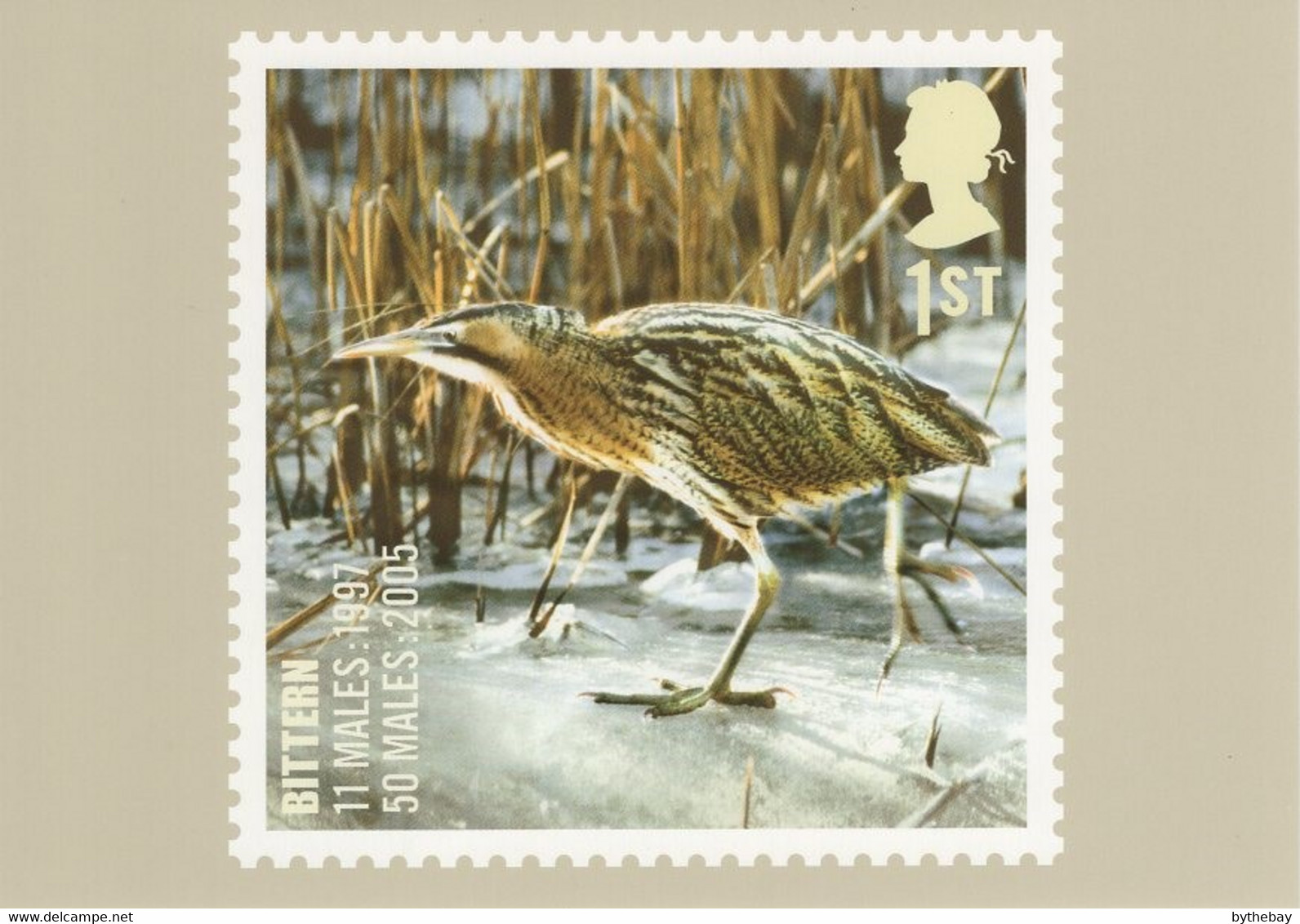 Great Britain 2007 PHQ Card Sc 2504 1st Bittern - PHQ Cards