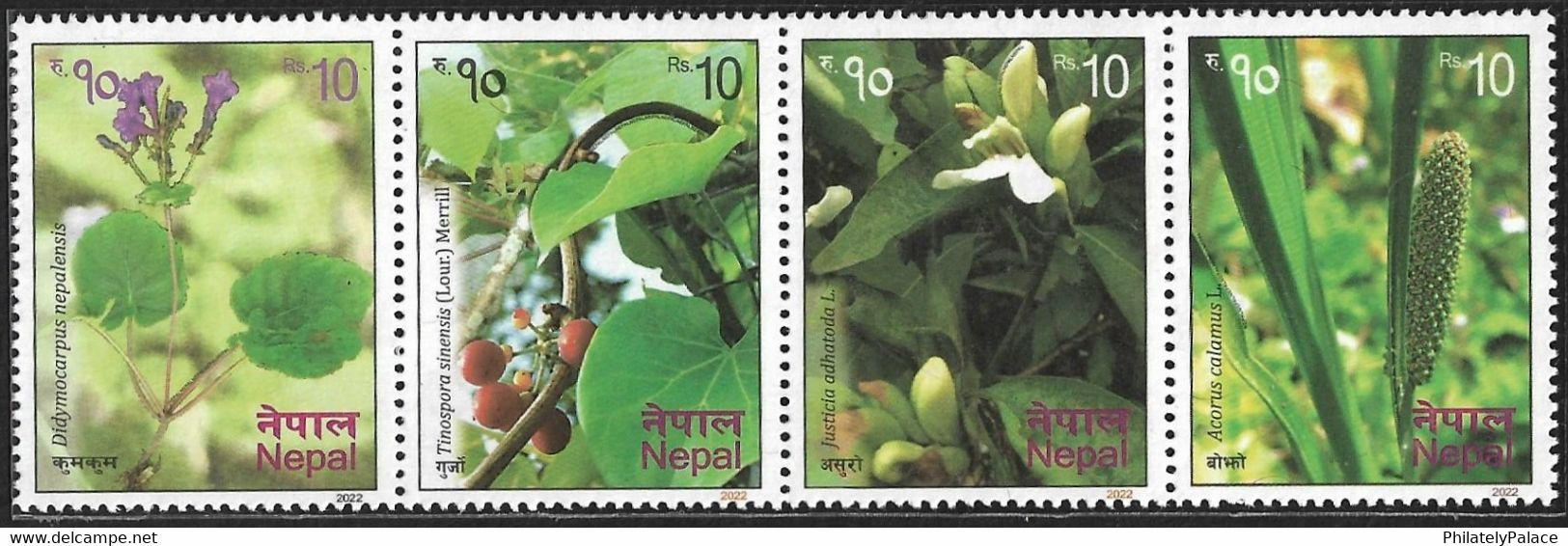 NEPAL 2022 New *** Flora, Flower, Fruit  Set Of 4 Stamps Mint MNH (**) - Népal