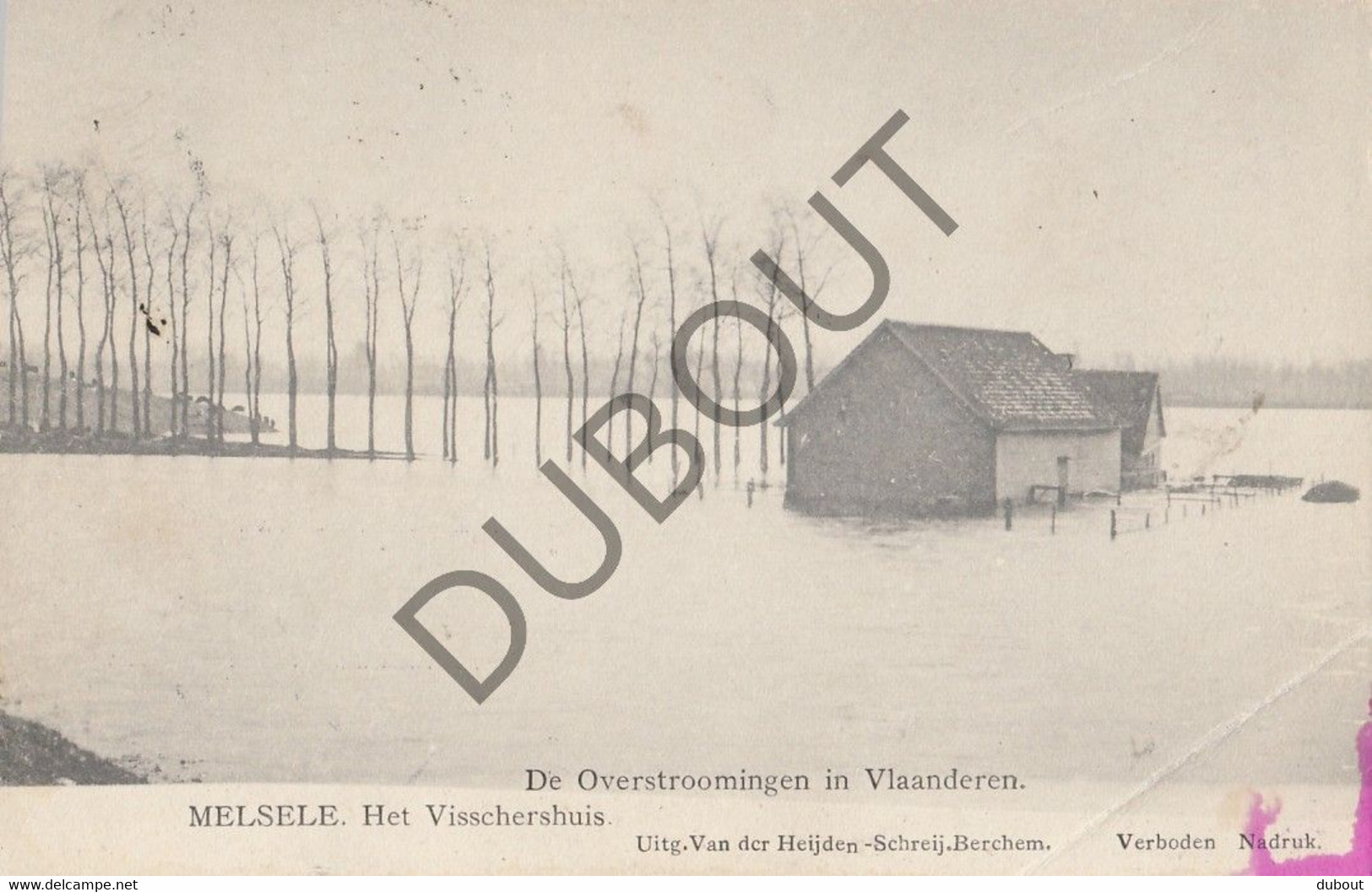 Postkaarte/Carte Postale - MELSELE - Ramp Der Overstromingen Van 12 Maart 1906 (C2787) - Beveren-Waas