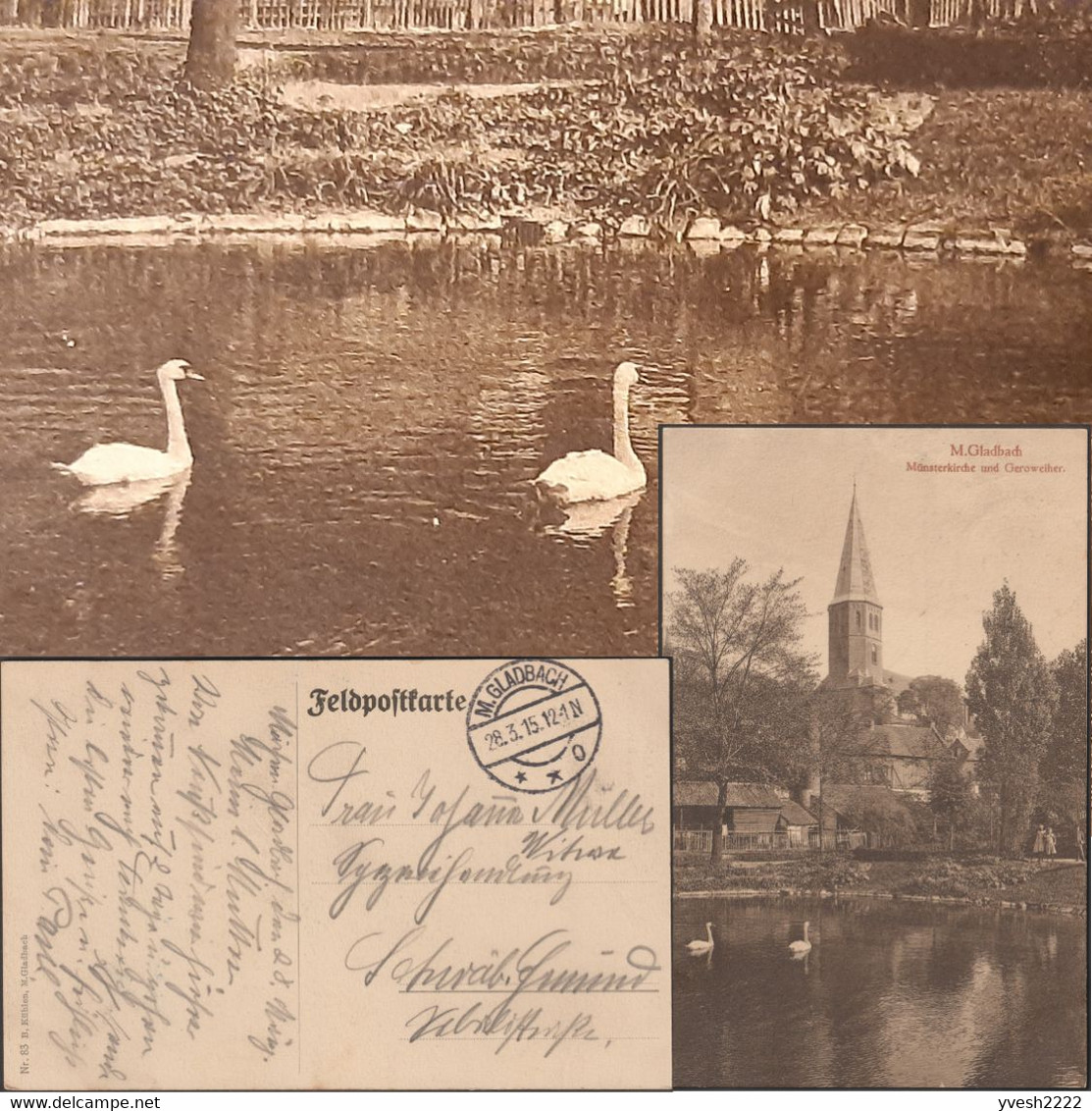 Allemagne 1915. Carte Postales De Franchise Militaire, Cygnes De Mönchengladbach, Münsterkirche Et Geroweiher - Cisnes