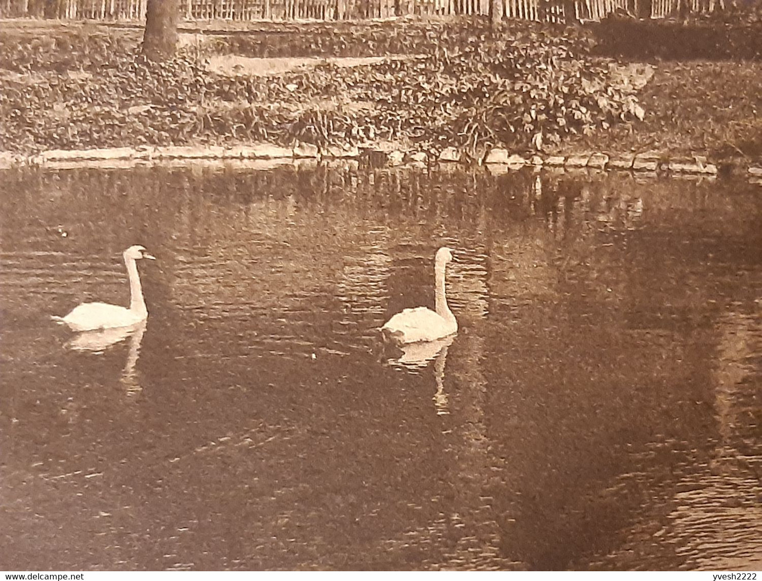 Allemagne 1915. Carte Postales De Franchise Militaire, Cygnes De Mönchengladbach, Münsterkirche Et Geroweiher - Cisnes