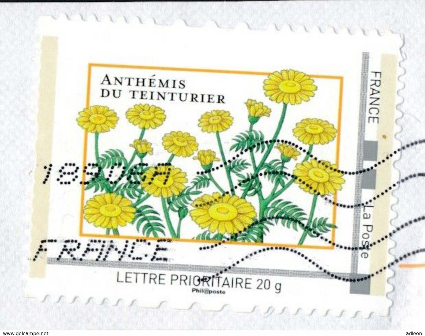France-IDTimbres - Anthémis Du Teinturier - YT IDT 7 Sur Lettre Du 14-06-2011 - Briefe U. Dokumente