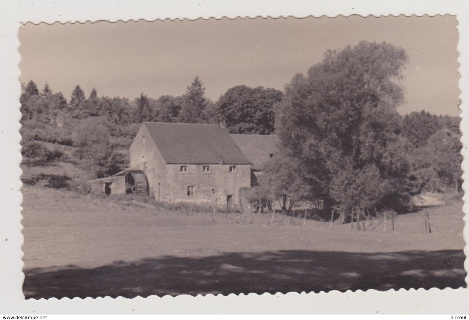 51003  Tavier  Moulin  Carte  Photo - Nandrin