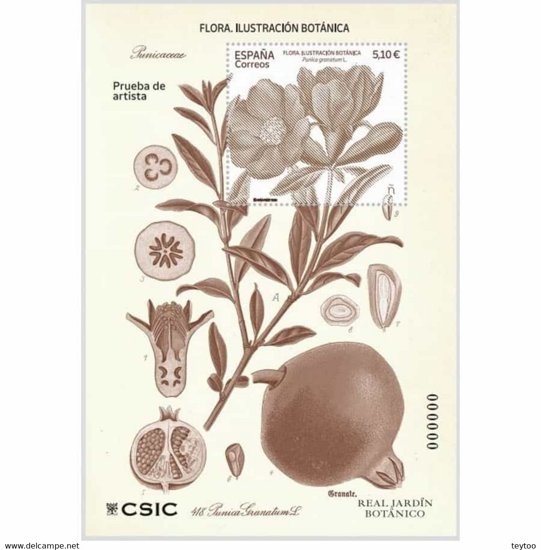P0161# España 2022. Prueba De Artista. Flora. Ilustración Botánica - Proofs & Reprints