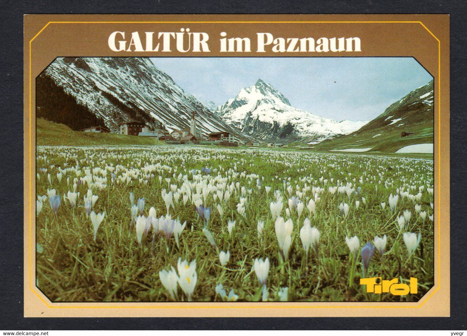Autriche - Krokusblüte In GALTÜR Im PAZNAUN, Mit Ballunspitze , Tirol ( N° 838) Vue Lointaine Du Village - Galtür