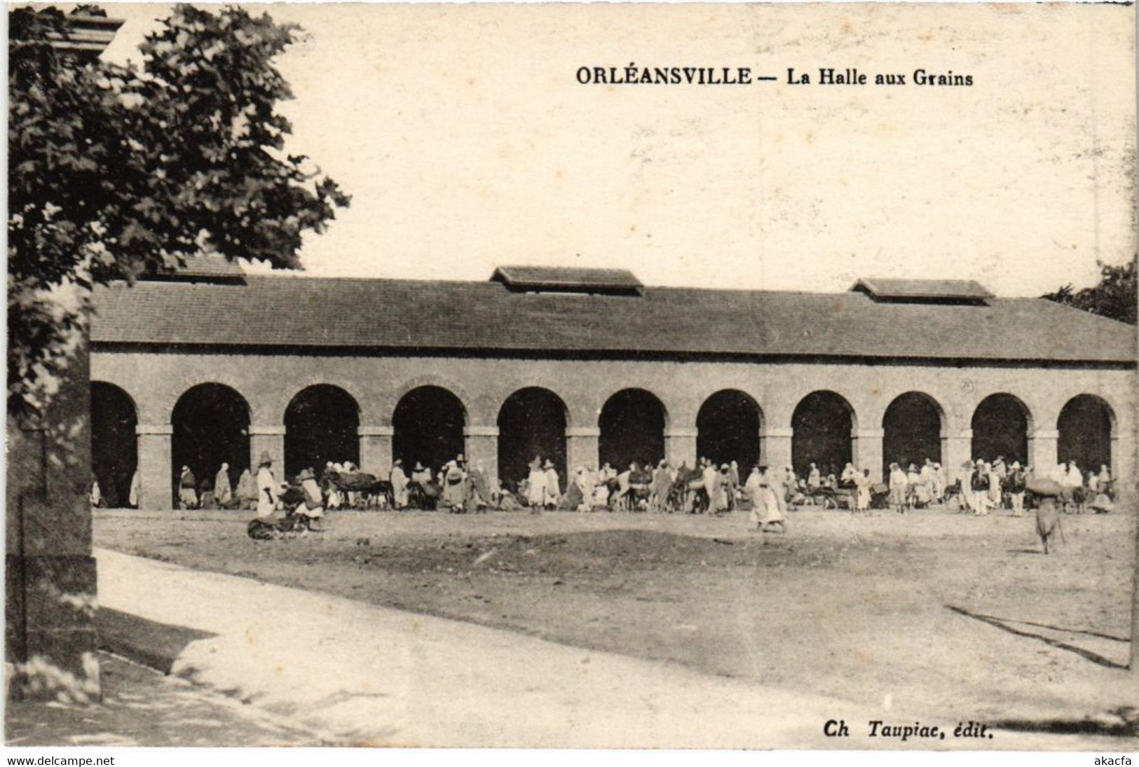 CPA AK ORLEANSVILLE La Halle Aux Granis ALGERIE (1188901) - Chlef (Orléansville)