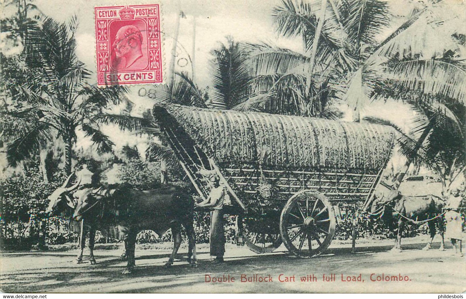 SRI LANKA  COLOMBO  Double Bullock Cart - Sri Lanka (Ceylon)