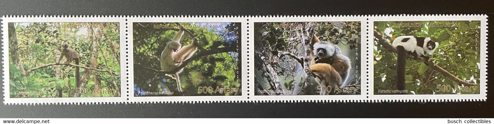 Madagascar Madagaskar 2021 Mi. 2718 - 2721 Lemuriens Lemurs Faune Fauna Propithecus 4 Val. - Madagaskar (1960-...)