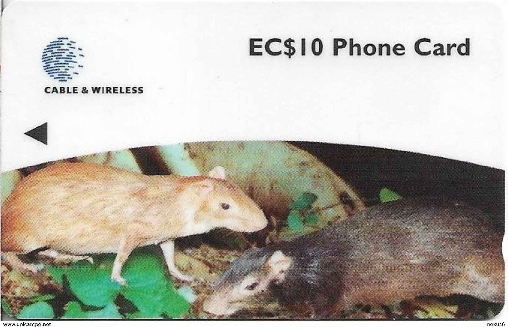 Dominica - C&W (GPT) - Agouti - 248CDMA - 1998, 10.000ex, Used - Dominica