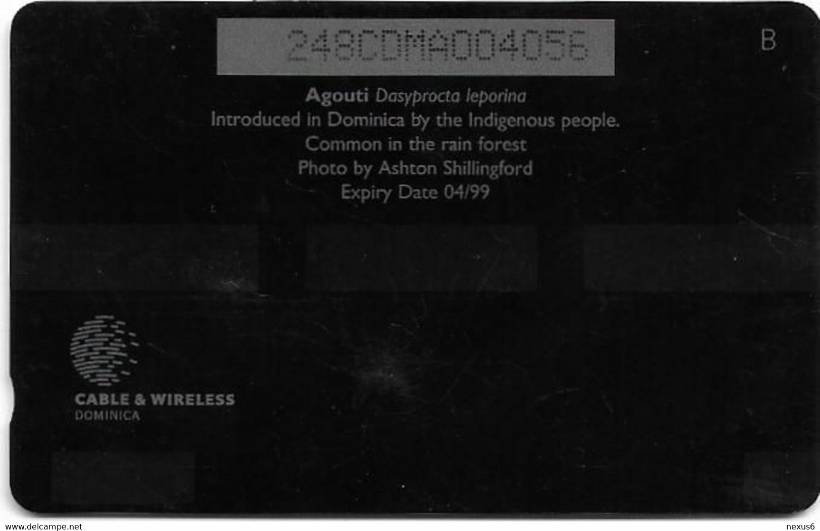 Dominica - C&W (GPT) - Agouti - 248CDMA - 1998, 10.000ex, Used - Dominica