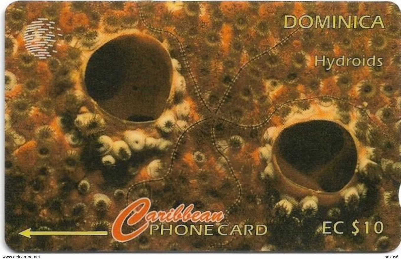 Dominica - C&W (GPT) - Hydroids  - 9CDMC (Crossed Ø) - 1995, 10.000ex, Used - Dominique