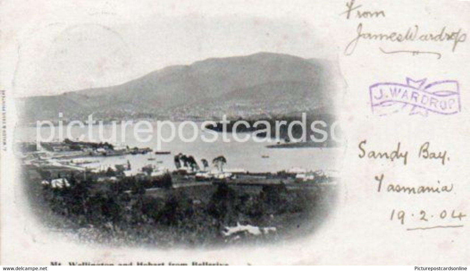 MOUNT WELLINGTON AND HOBART FROM BELLERIVE OLD B/W POSTCARD TASMANIA AUSTRALIA 1904 - Hobart