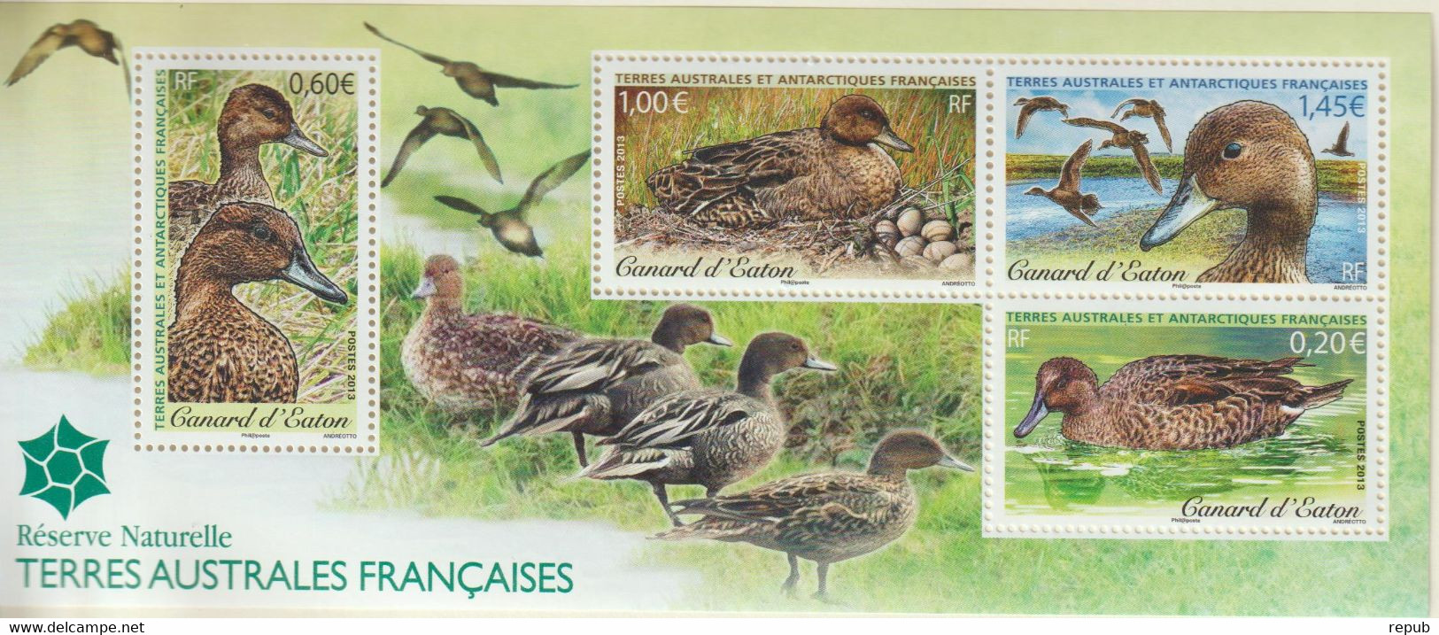 TAAF 2013 Faune Canards Feuillet F649 ** MNH - Hojas Bloque