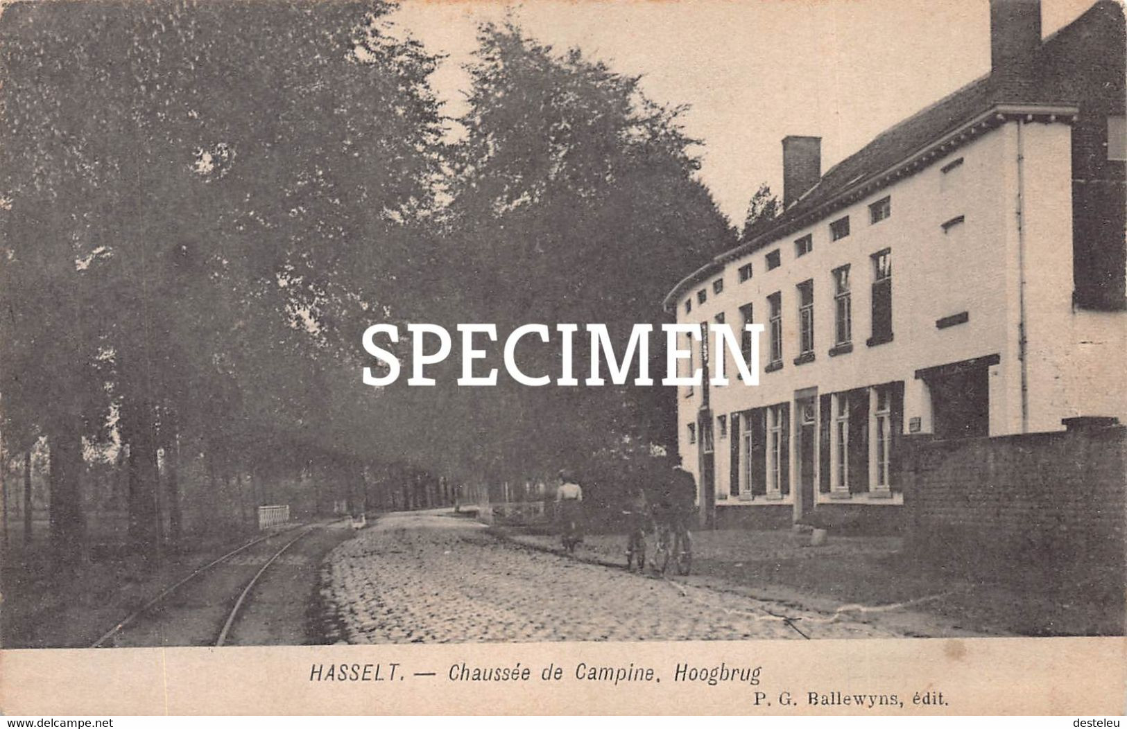 Chaussée De Campine Hoogbrug - Hasselt - Hasselt