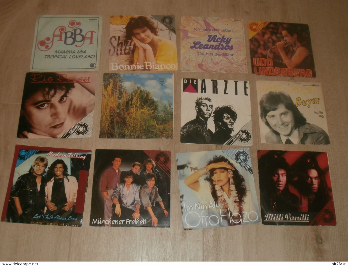 Sammlung Von 12 Amiga Schallplatten , DDR , Vinyl , Lindenberg , Reiser , Abba - Colecciones Completas