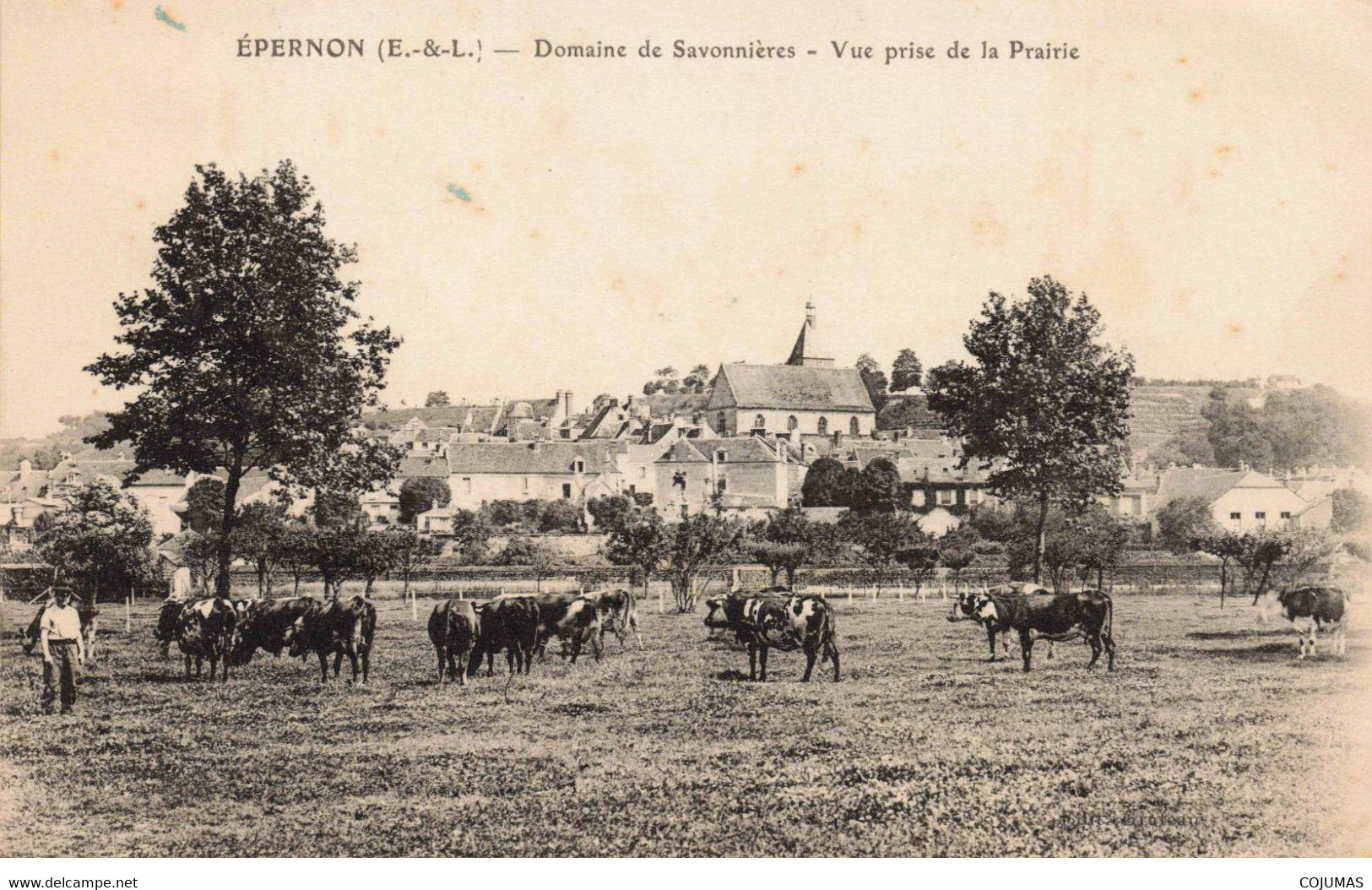 28 - EPERNON - S01186 - Domaine De Savonnières - Vue Prise De La Prairie - Agriculture - Vaches - L1 - Epernon