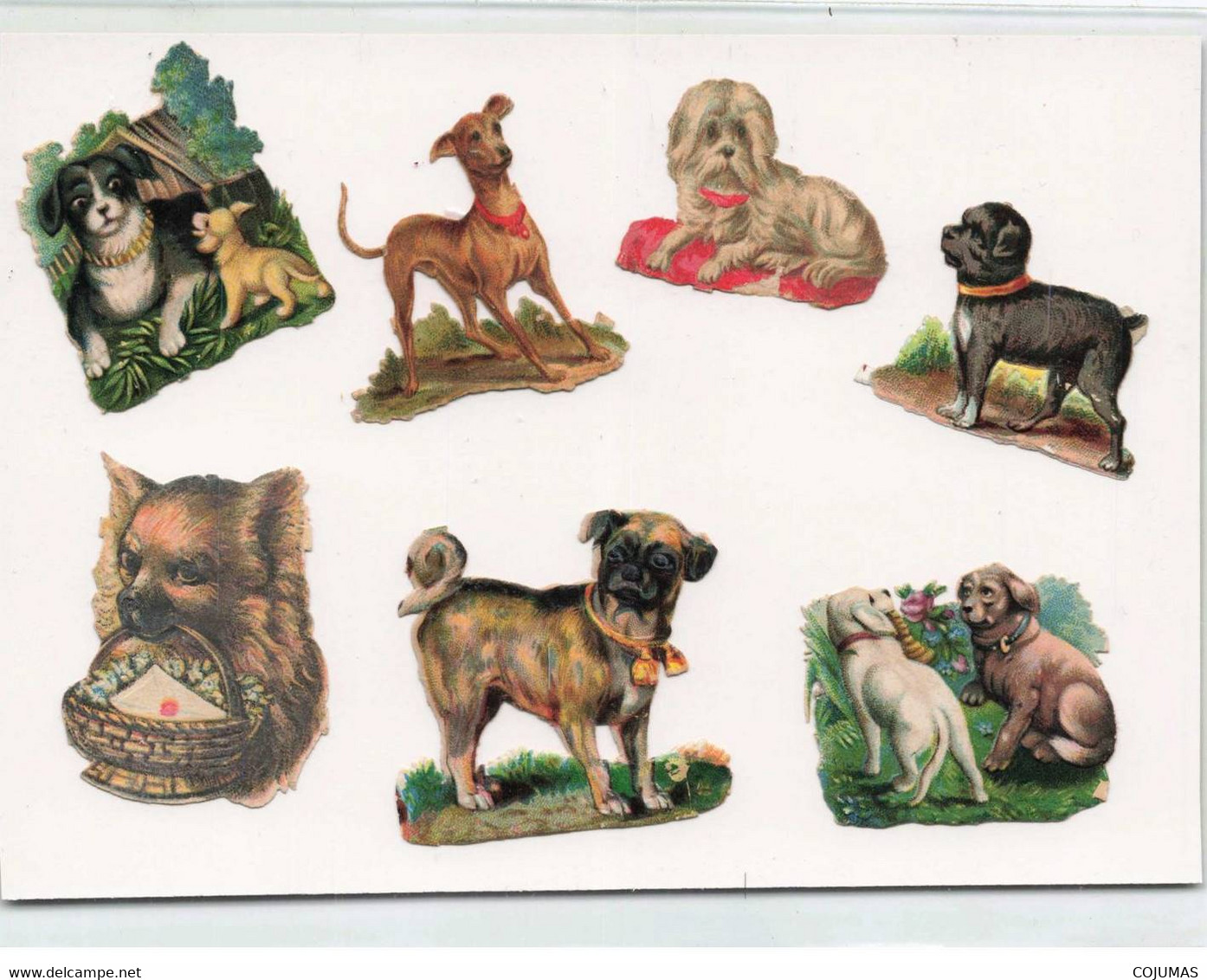 DECOUPIS - S01417 - Ensemble De 6 Découpis - Chiot - Chiens De Différentes Races - Support 15x10cm - L1 - Tiere