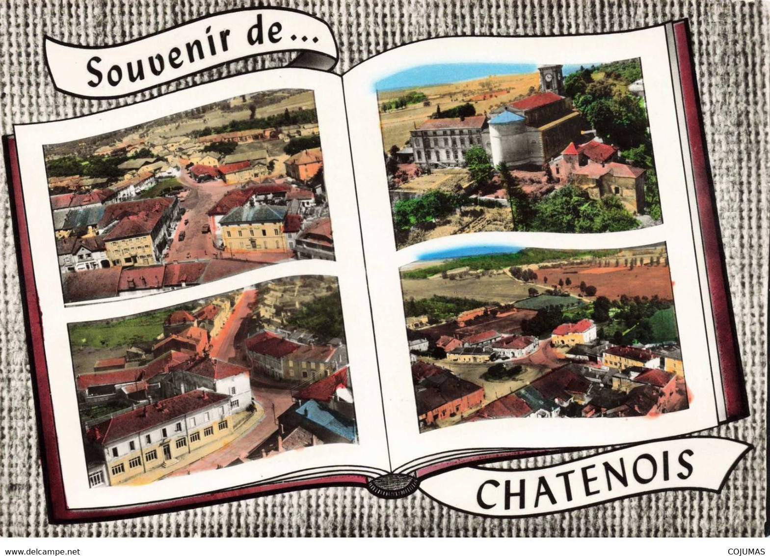 88 - CHATENOIS - S03273 - Souvenir De Chatenois - Divers Aspects De La Ville - CPSM 15x10 Cm - L1 - Chatenois