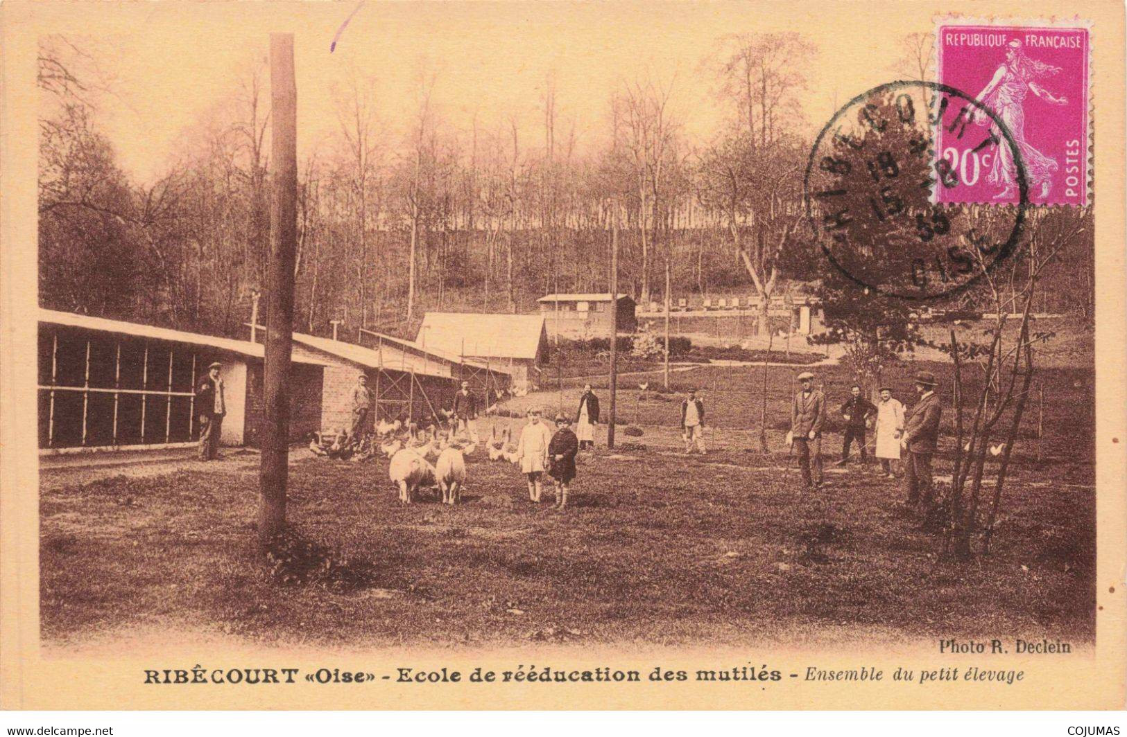 60 - RIBECOURT - S03580 - Ecole De Rééducation Des Mutilés - Ensemble Du Petit Elevage - Agriculture - L1 - Ribecourt Dreslincourt