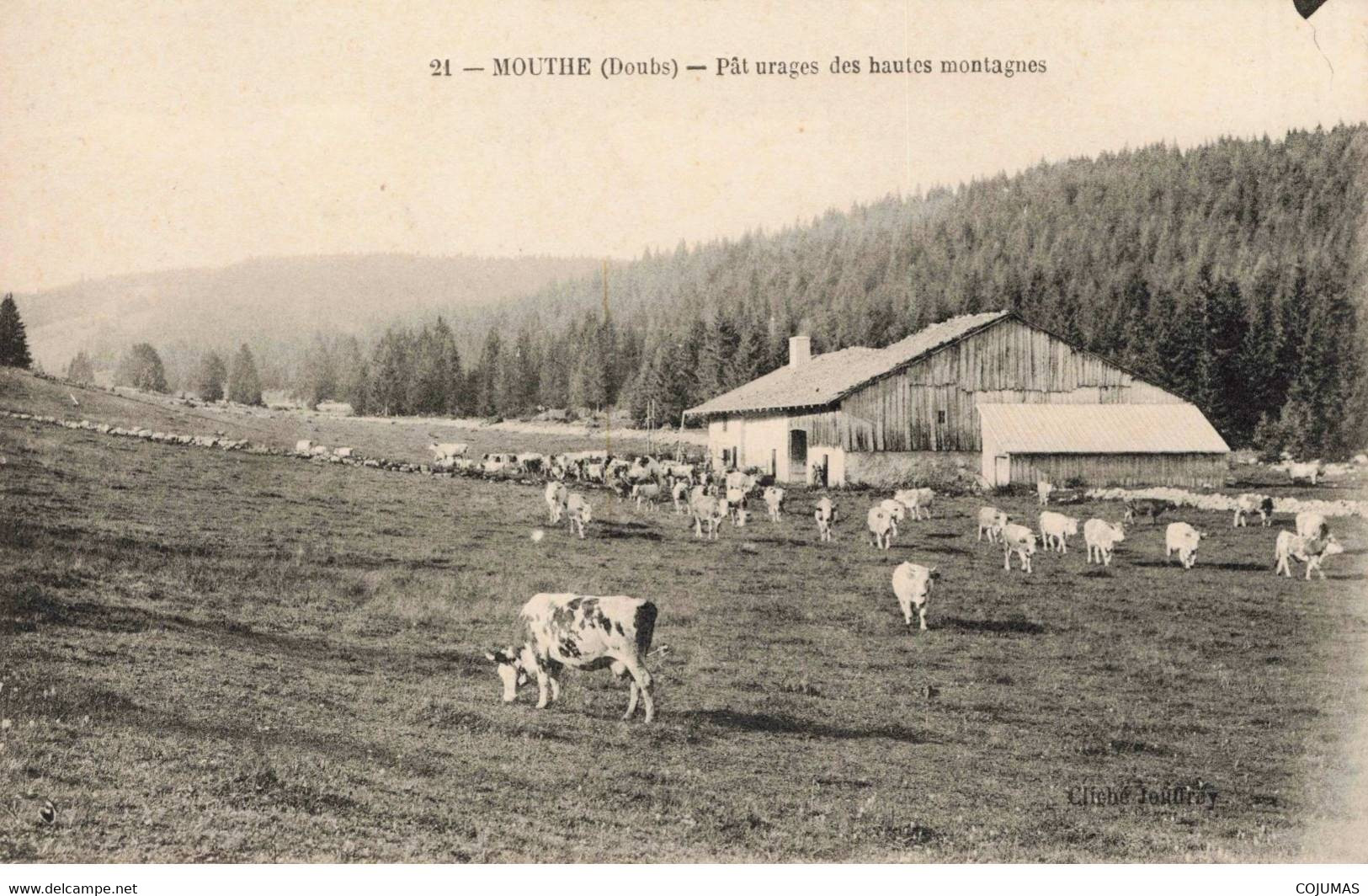 25 - MOUTHE - S02764 - Pâturage Des Hautes Montagnes - Vaches - Agriculture - L1 - Mouthe