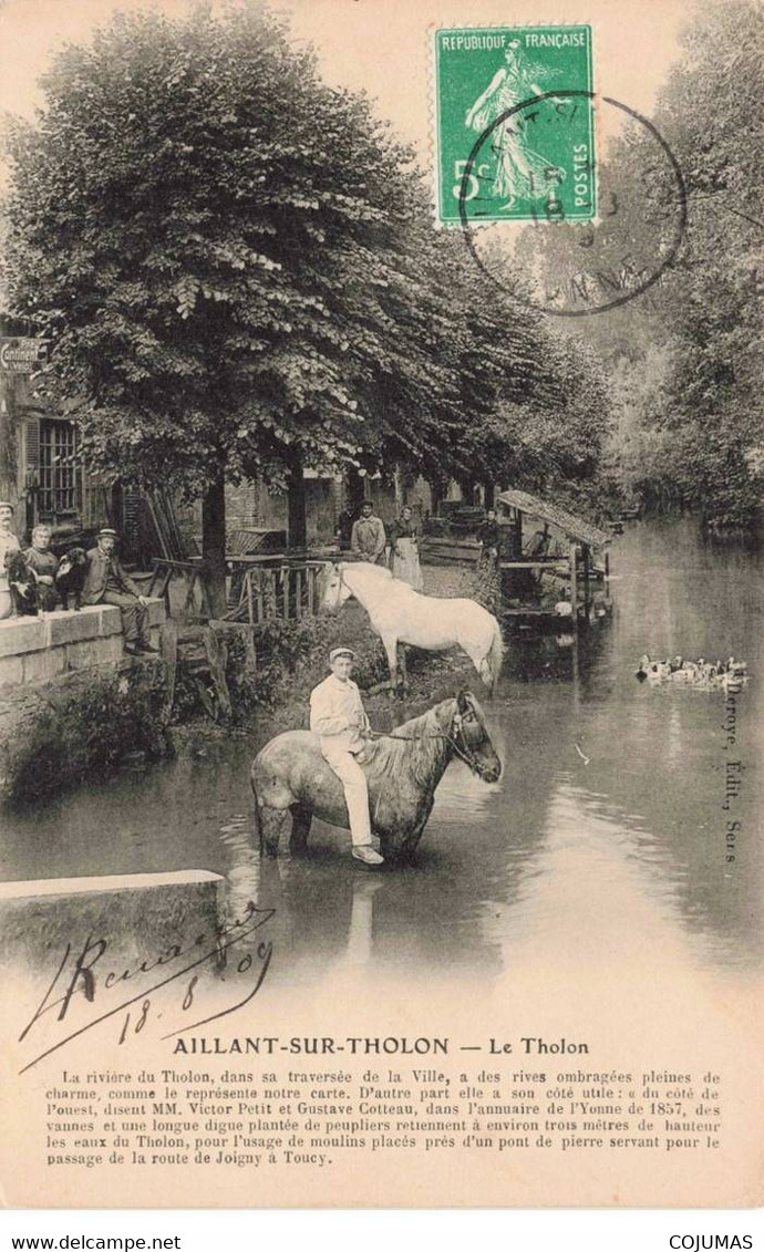 89 - AILLANT SUR THONON - S00460 - Le Tholon - Chevaux - Canards - Rivière - Chien  - L1 - Aillant Sur Tholon