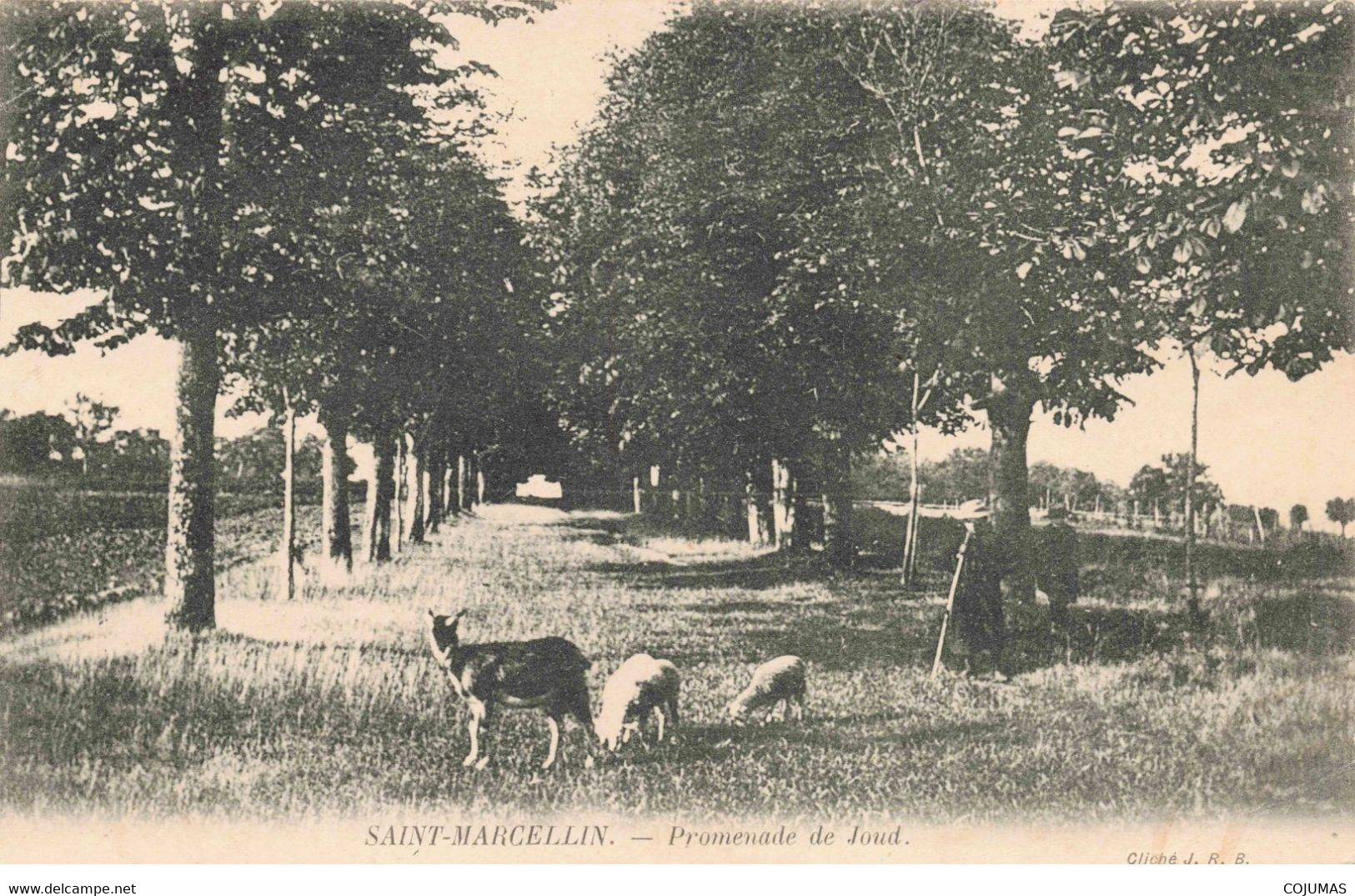 38 - SAINT MARCELIN - S00891 - Promenade De Joud - Agriculture - Pli - L1 - Saint-Marcellin