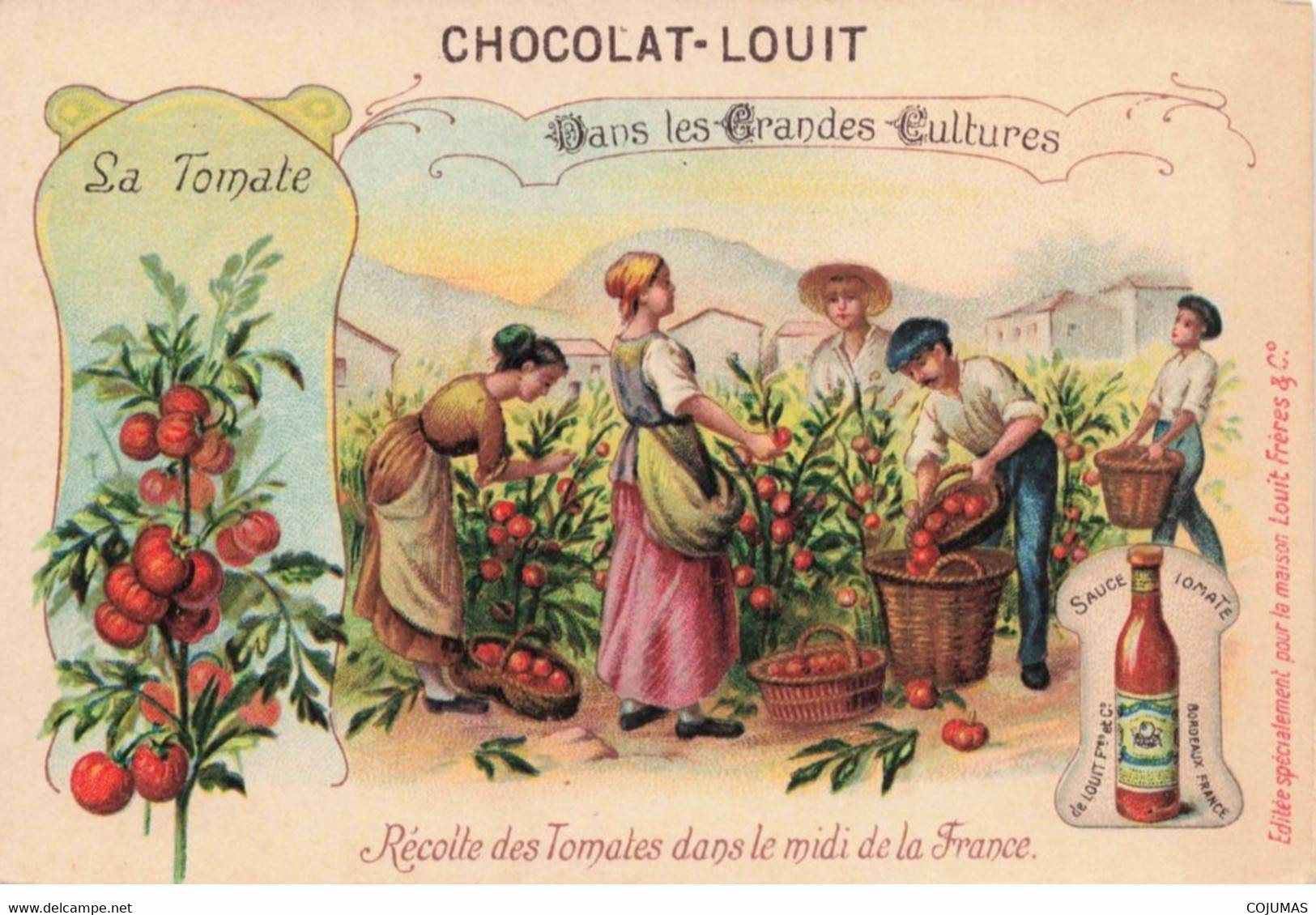 CHROMOS - S00925 - Chocolat Louis - Récolte Des Tomates Dans Le Midi De La France - Agriculture - 10,5x7cm Env - L1 - Louit