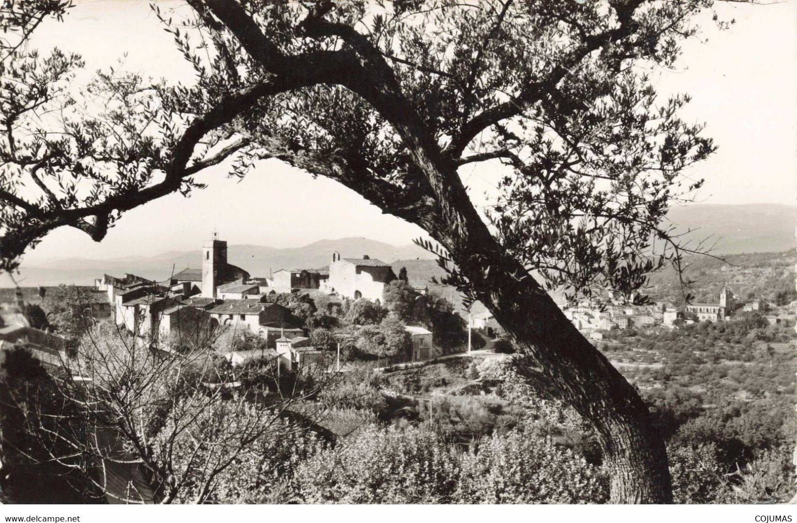 83 - MONTAUROUX - S02398 - Vue Générale - CPSM 14x9 Cm - L3 - Montauroux