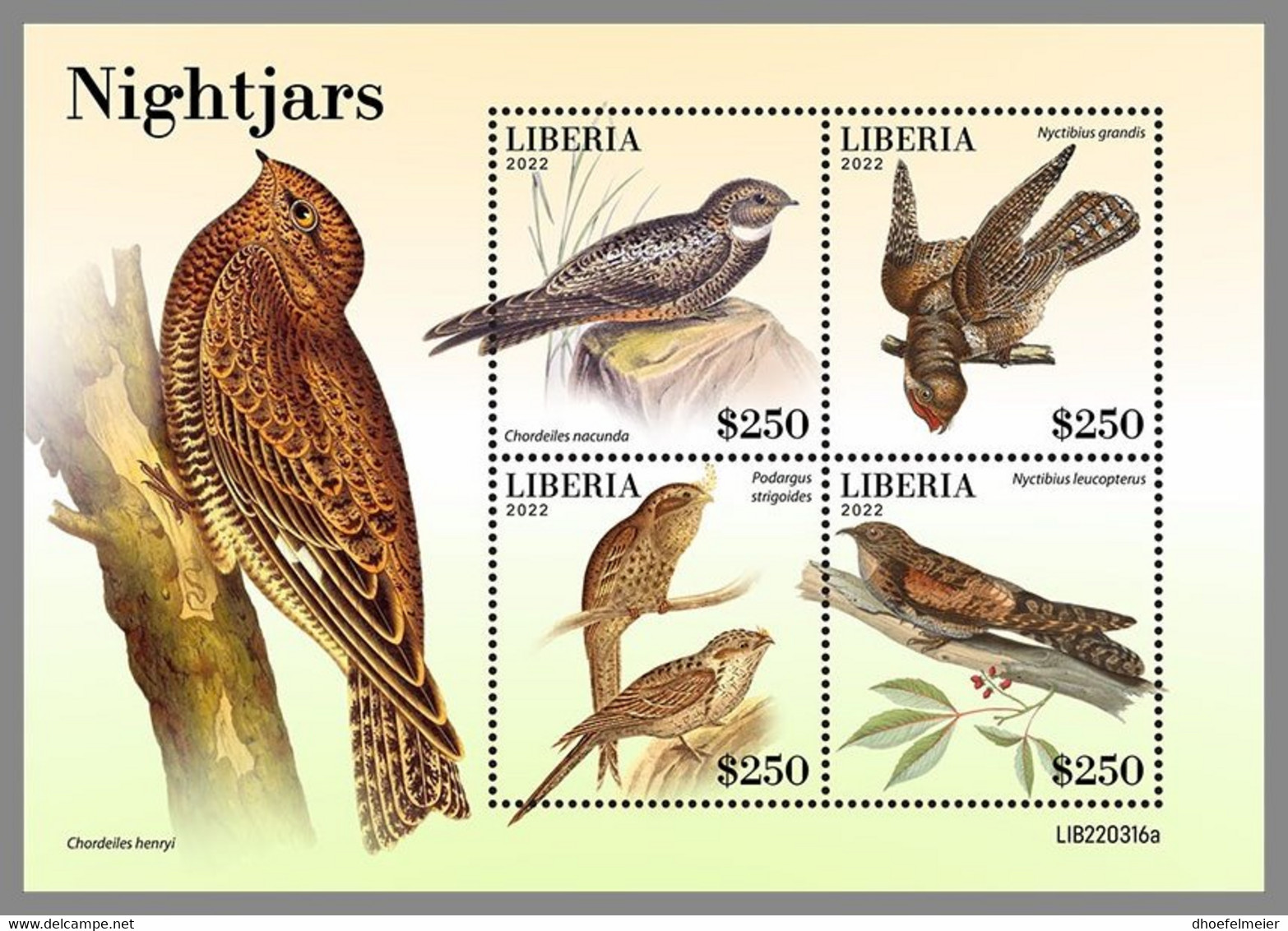 LIBERIA 2022 MNH Nightjars Nachtschwalben Engoulevents M/S - OFFICIAL ISSUE - DHQ2249 - Swallows