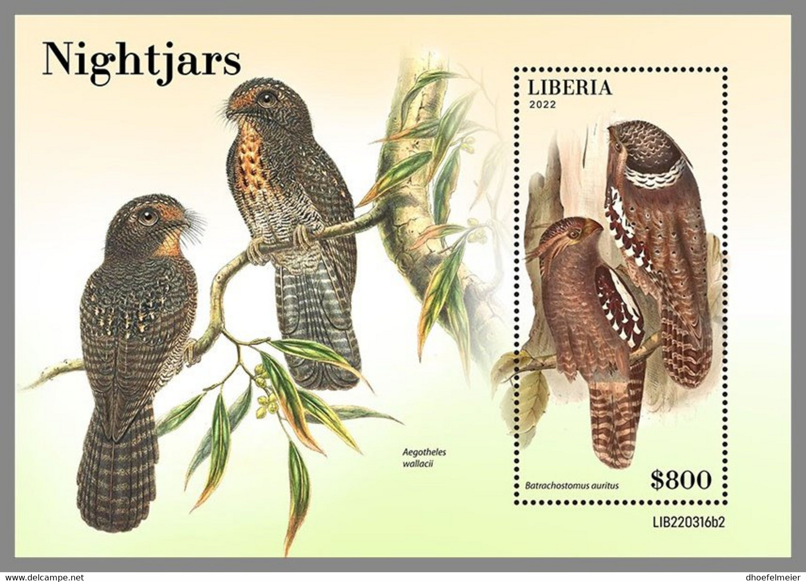 LIBERIA 2022 MNH Nightjars Nachtschwalben Engoulevents S/S 2 - OFFICIAL ISSUE - DHQ2249 - Hirondelles