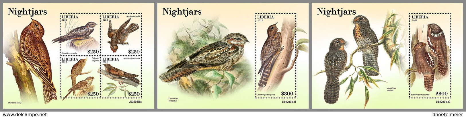 LIBERIA 2022 MNH Nightjars Nachtschwalben Engoulevents M/S+2S/S - OFFICIAL ISSUE - DHQ2249 - Golondrinas