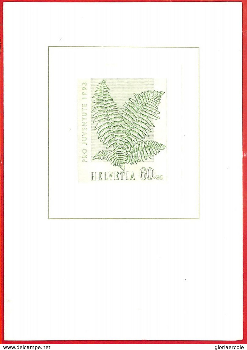 Aa2421 - SWITZERLAND - Postal History - OFFICIAL CARD Pro Juventute 1993 - Other & Unclassified