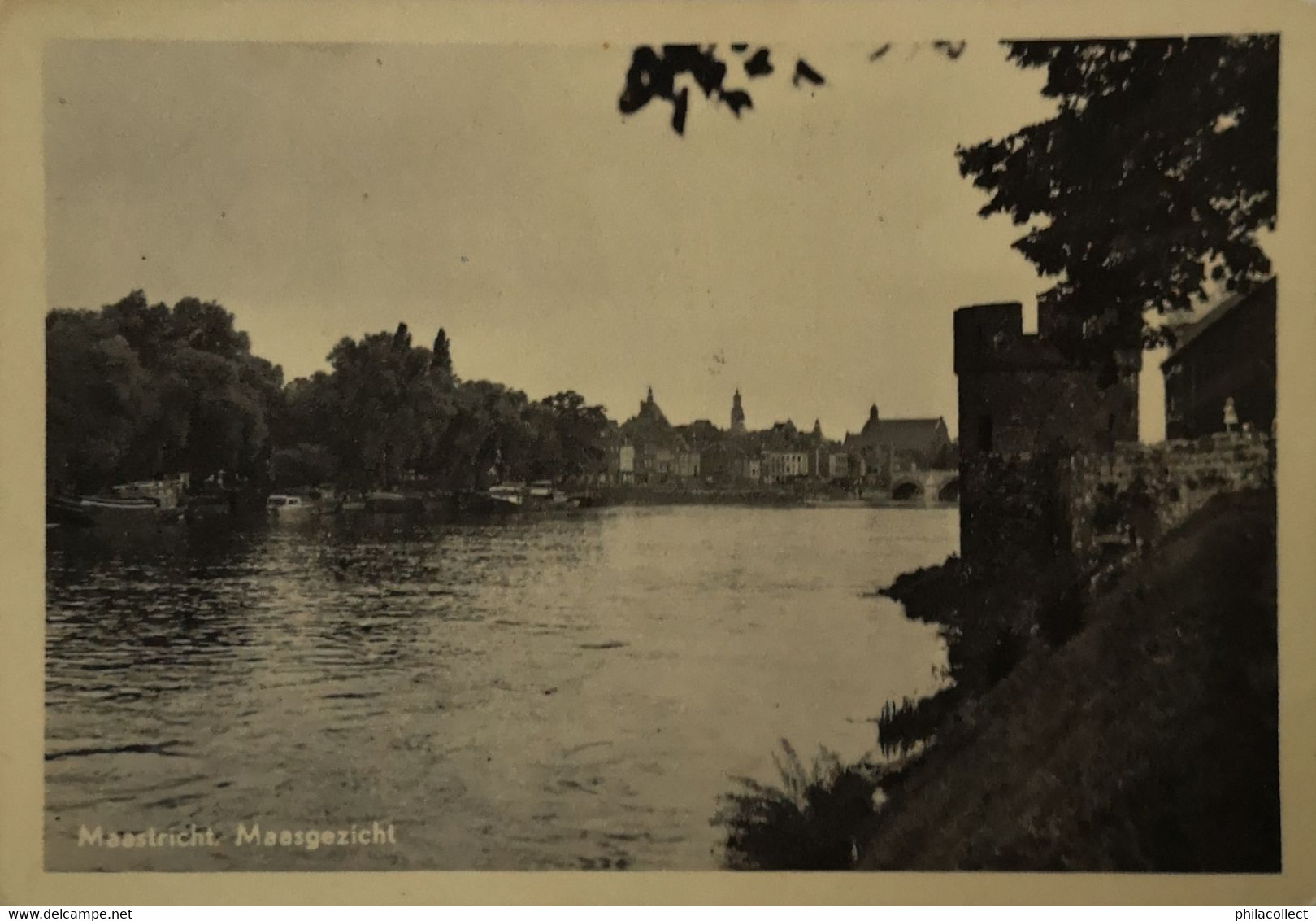 Maastricht //  Maasgezicht (niet Standaard) 1955 - Maastricht
