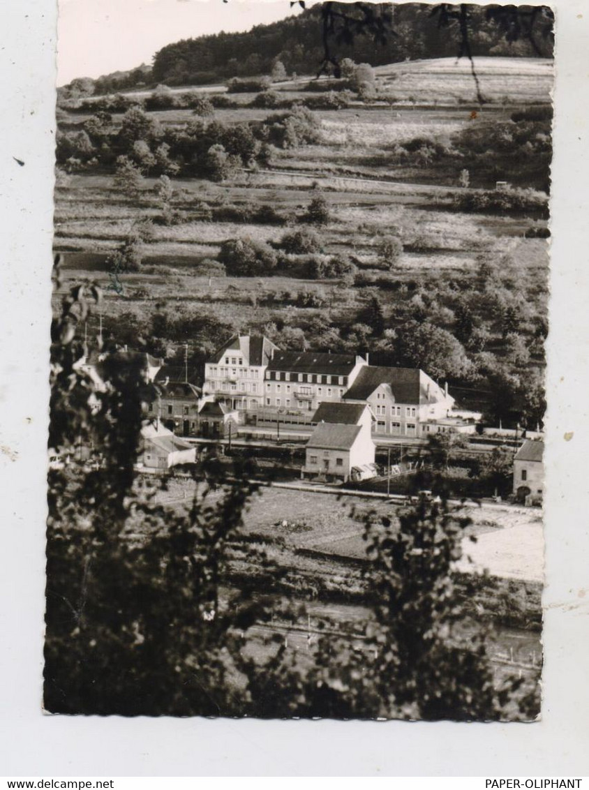 L 6551 BERDORF - BOLLENDORF PONT, Bahnhof, Hotel De La Gare 1964, Foto Drockenmüller - Berdorf