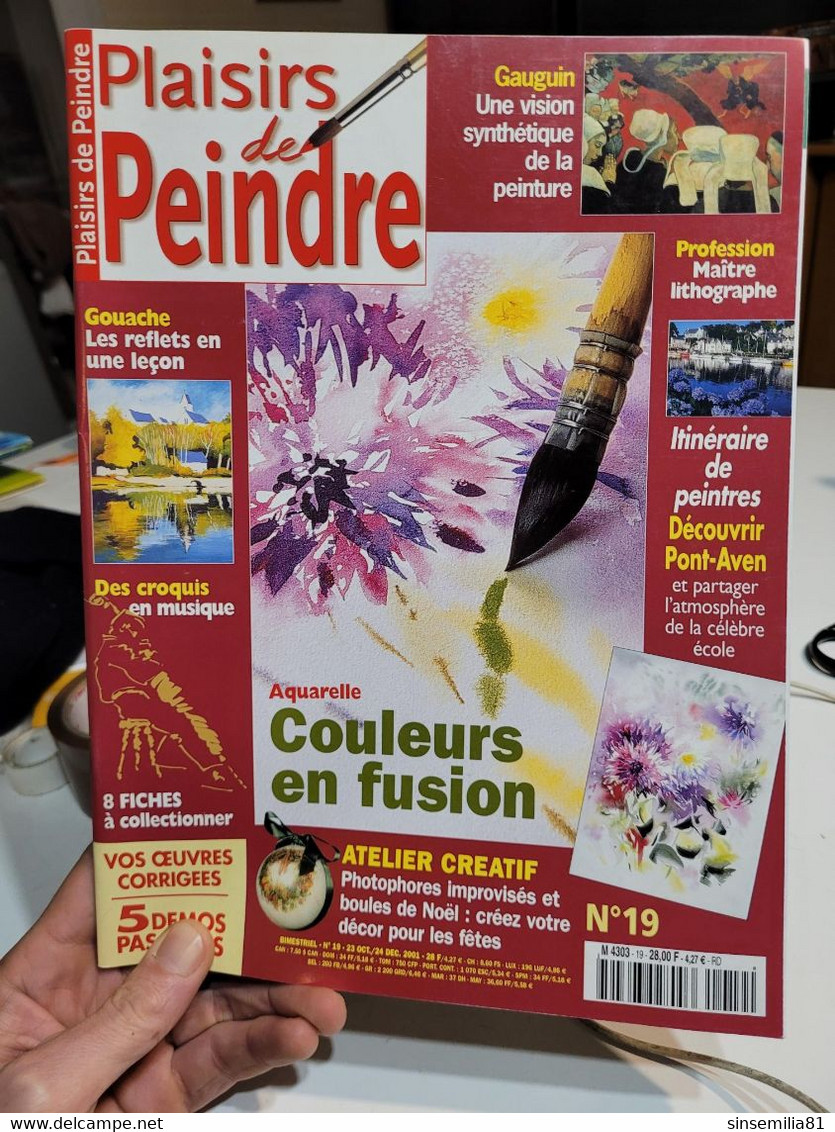 Plaisirs De Peindre 19 Aquarelle Couleurs En Fusion - Maison & Décoration