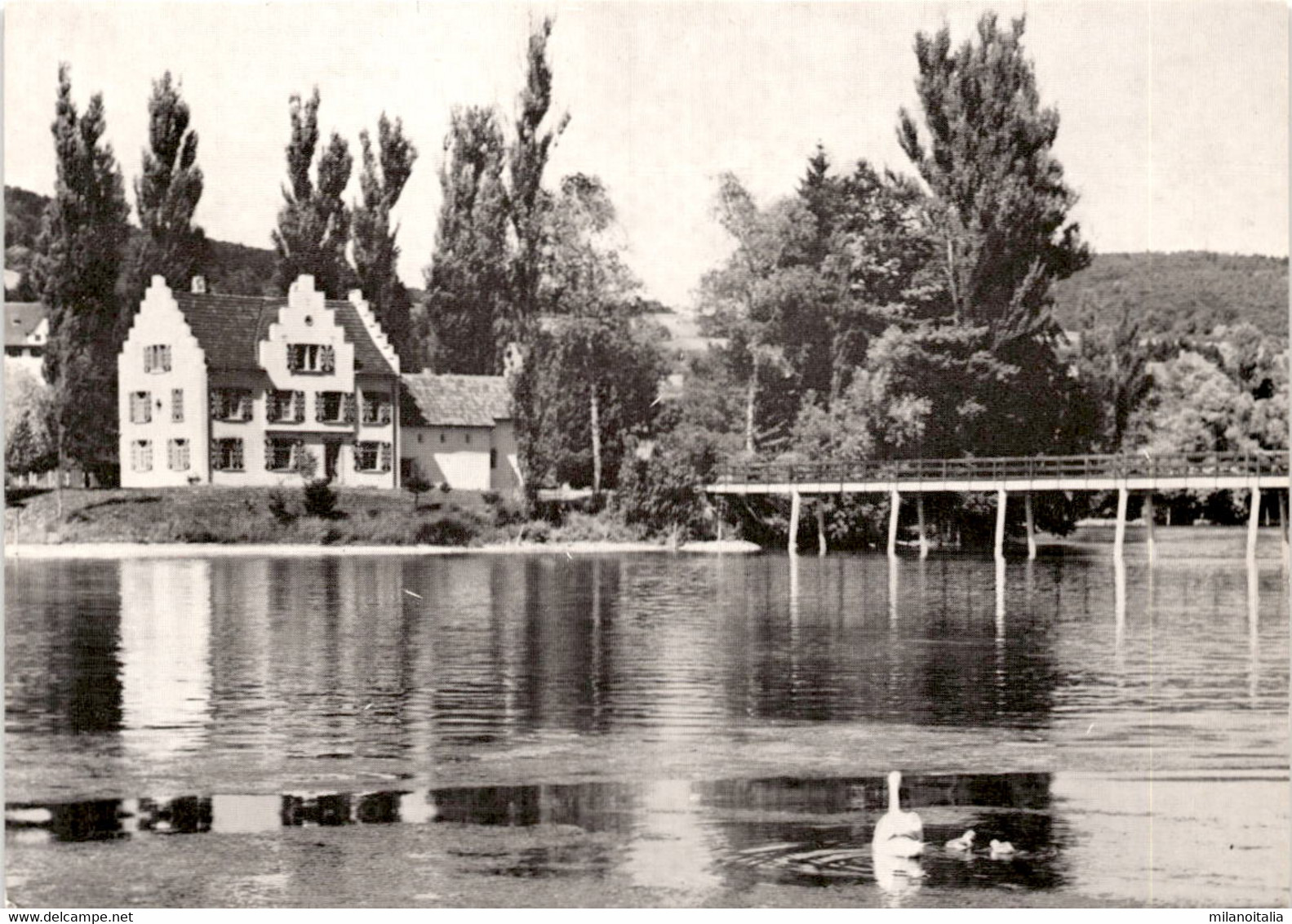 St. Otmar Im Werd - Eschenz TG - Eschenz