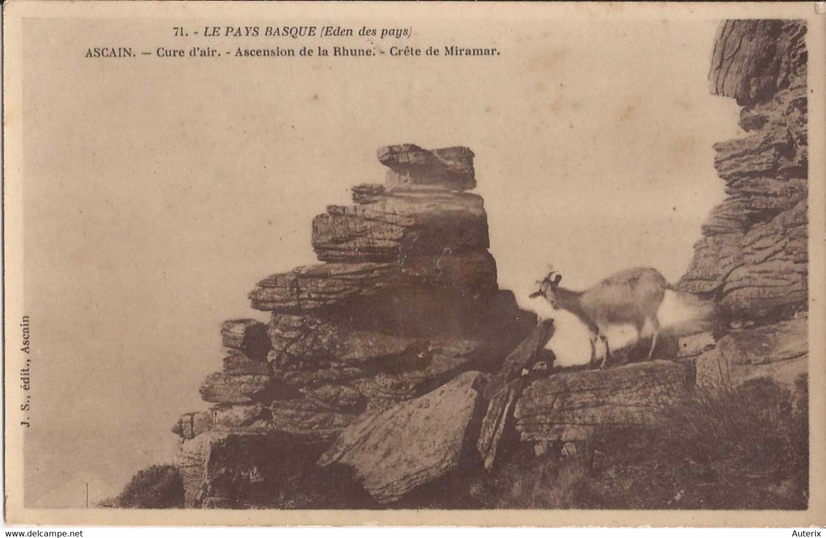 64 Ascain Ascension De La Rhune Crete De Miramar Chevre Goat - Ascain