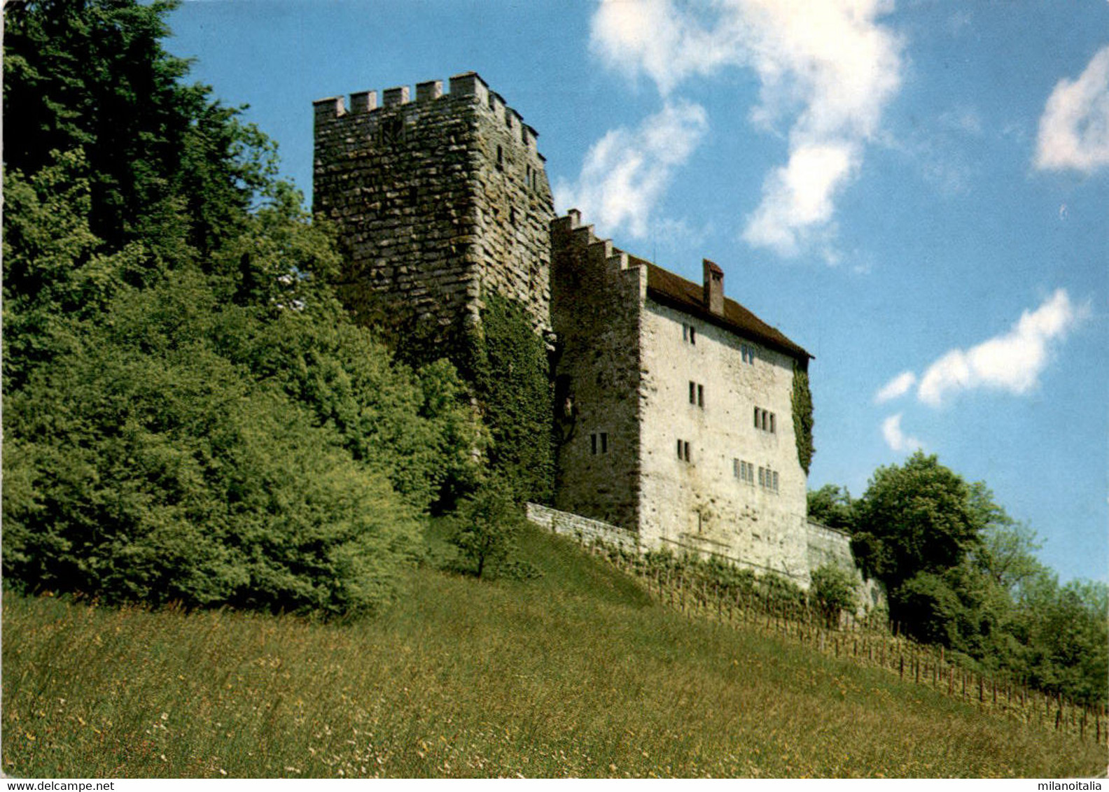Schloss Habsburg Bei Brugg (18052) * 8. 6. 1993 - Brugg