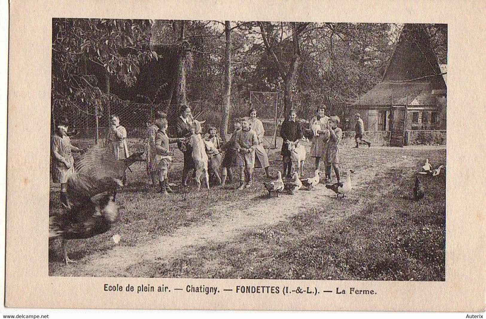 37 Chatigny Ecole De Plain-air Fondettes Ferme Canards Dindons Chevre Goat - Fondettes